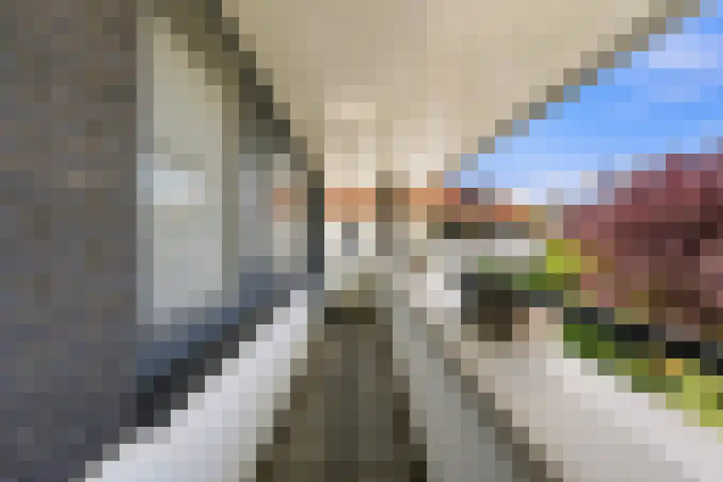 De Spil 18 Alblasserdam thumbnail 29