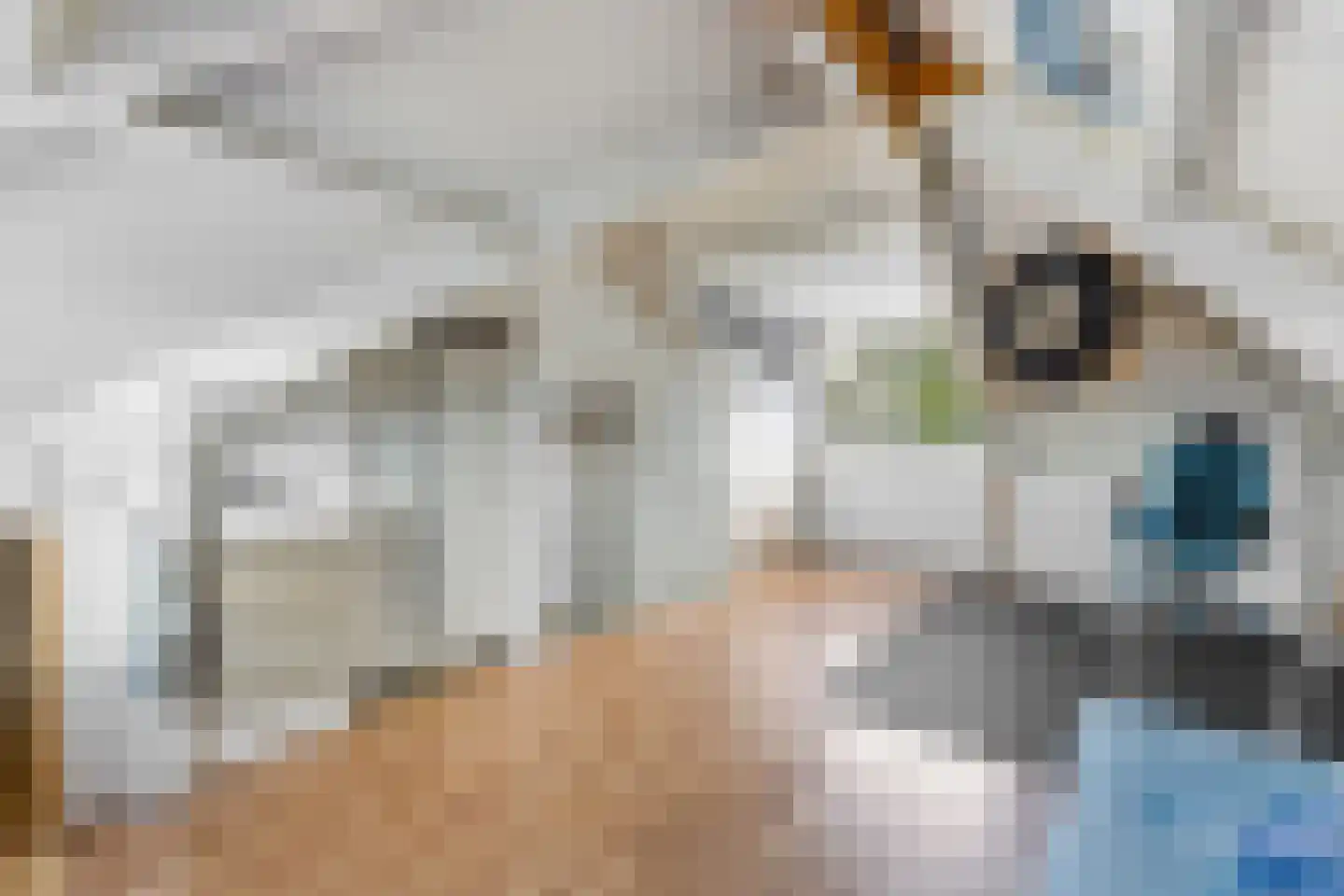 De Spil 18 Alblasserdam thumbnail 36