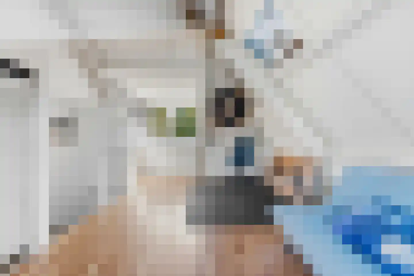 De Spil 18 Alblasserdam thumbnail 38