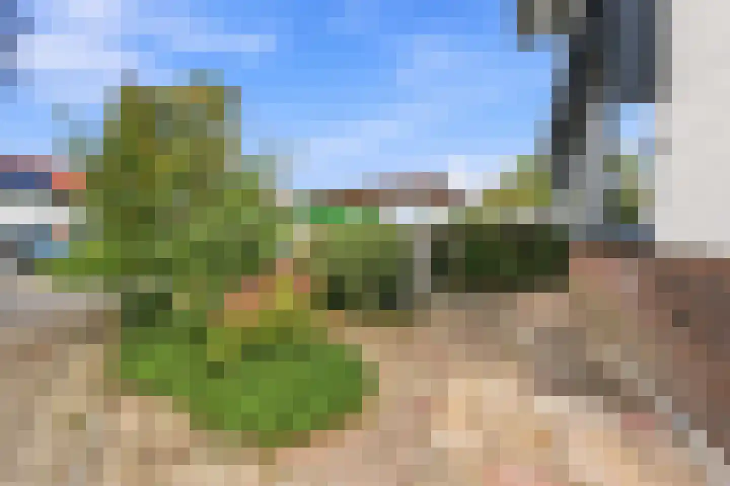 De Spil 18 Alblasserdam thumbnail 47