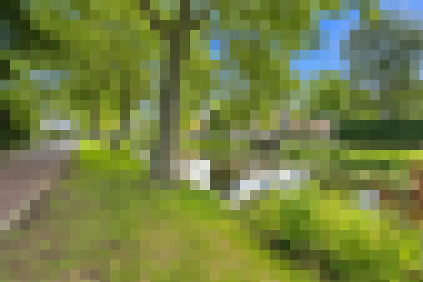 De Spil 18 Alblasserdam thumbnail 52