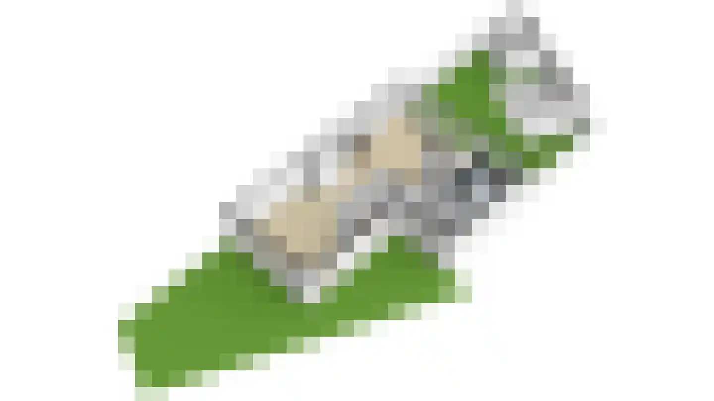 De Spil 18 Alblasserdam thumbnail 66