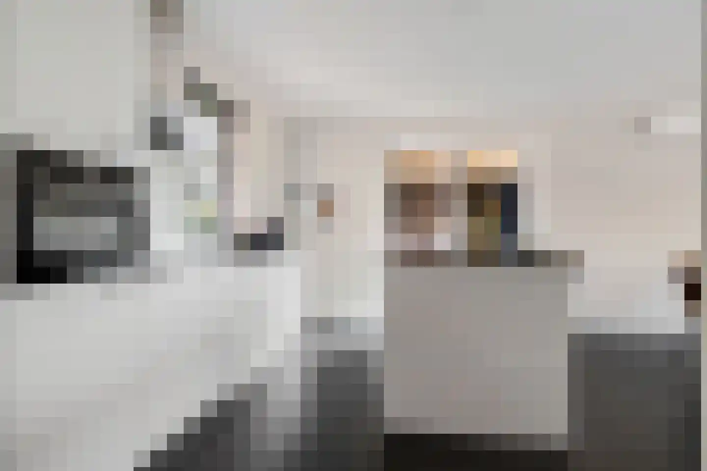 De Spil 30 Kootwijkerbroek thumbnail 20