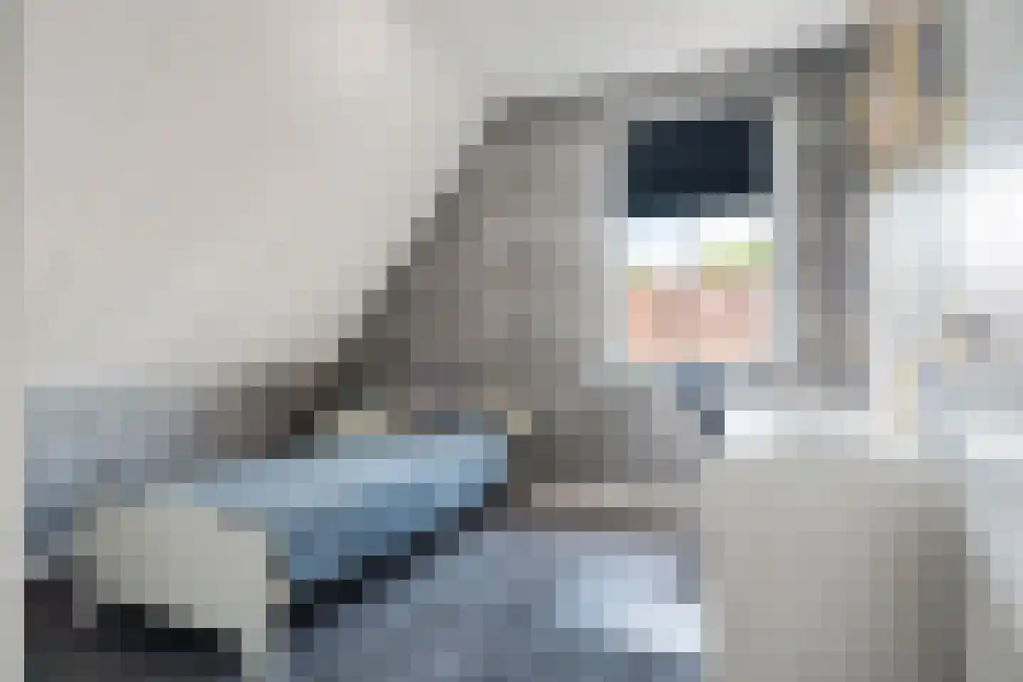 De Spil 30 Kootwijkerbroek thumbnail 33