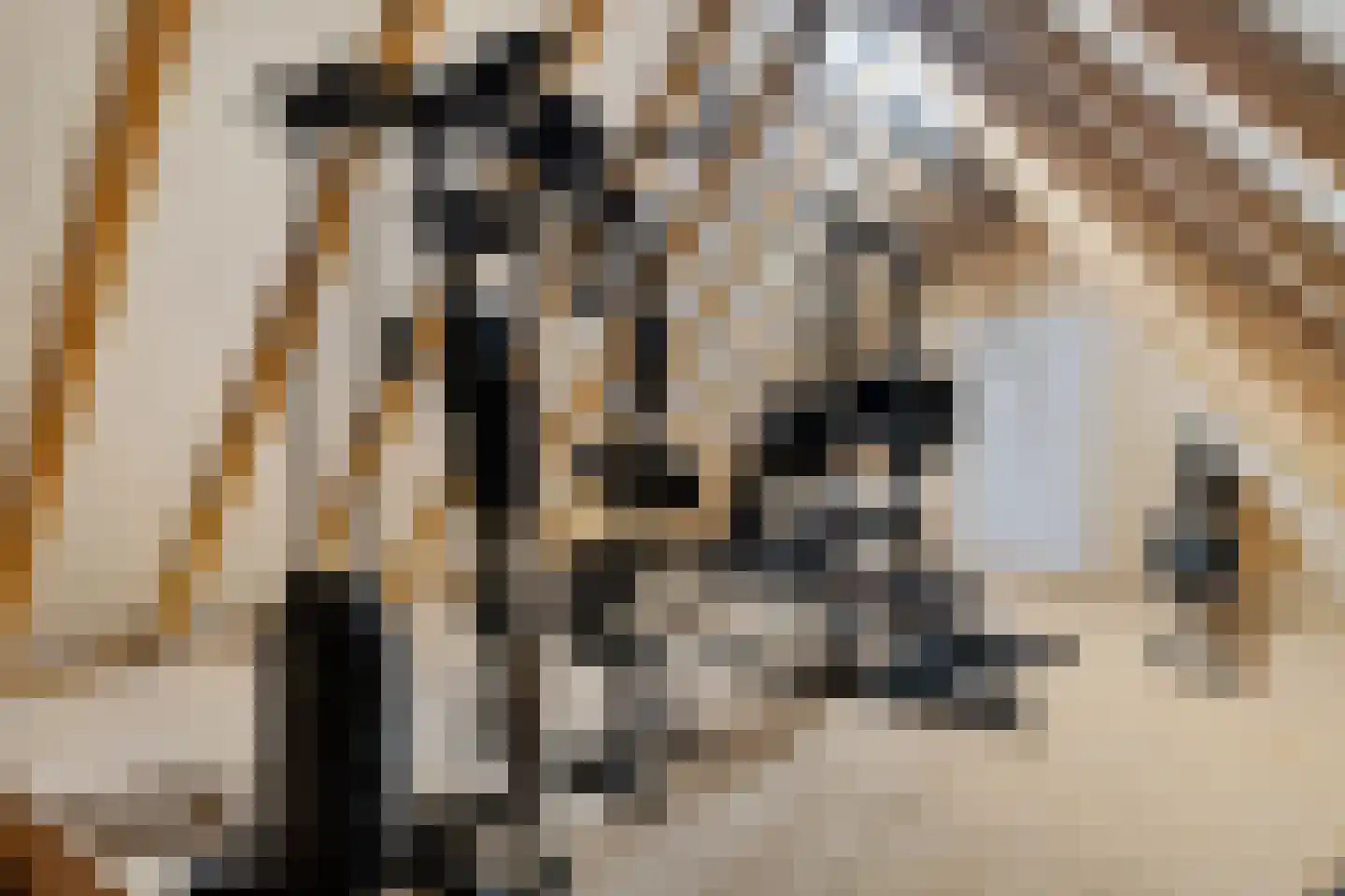 De Spil 30 Kootwijkerbroek thumbnail 48