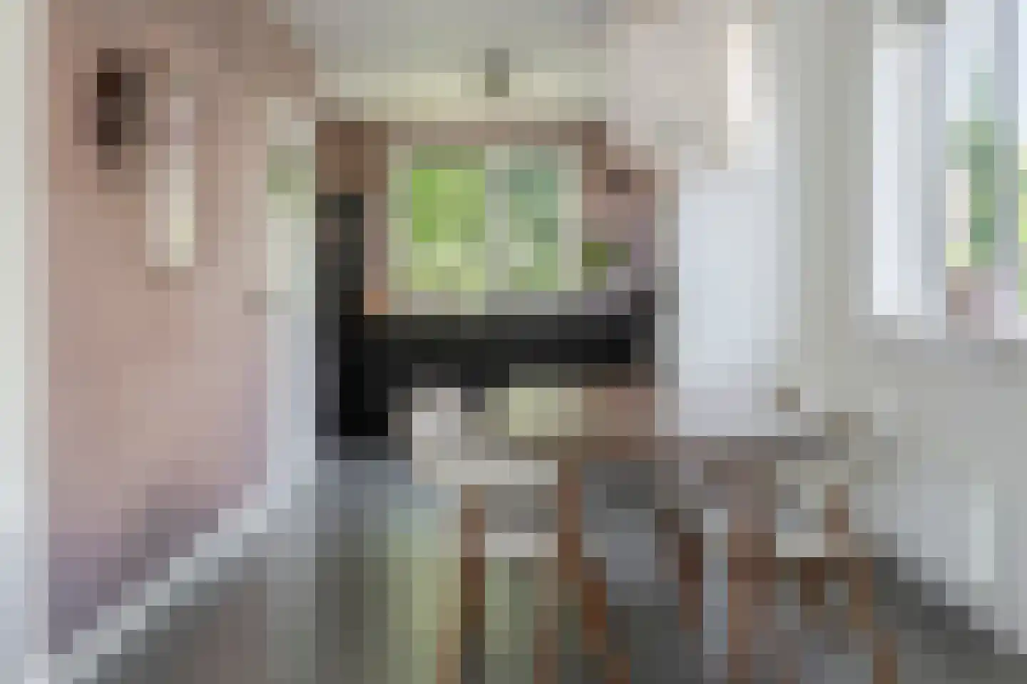 De Spil 38 Kootwijkerbroek thumbnail 13