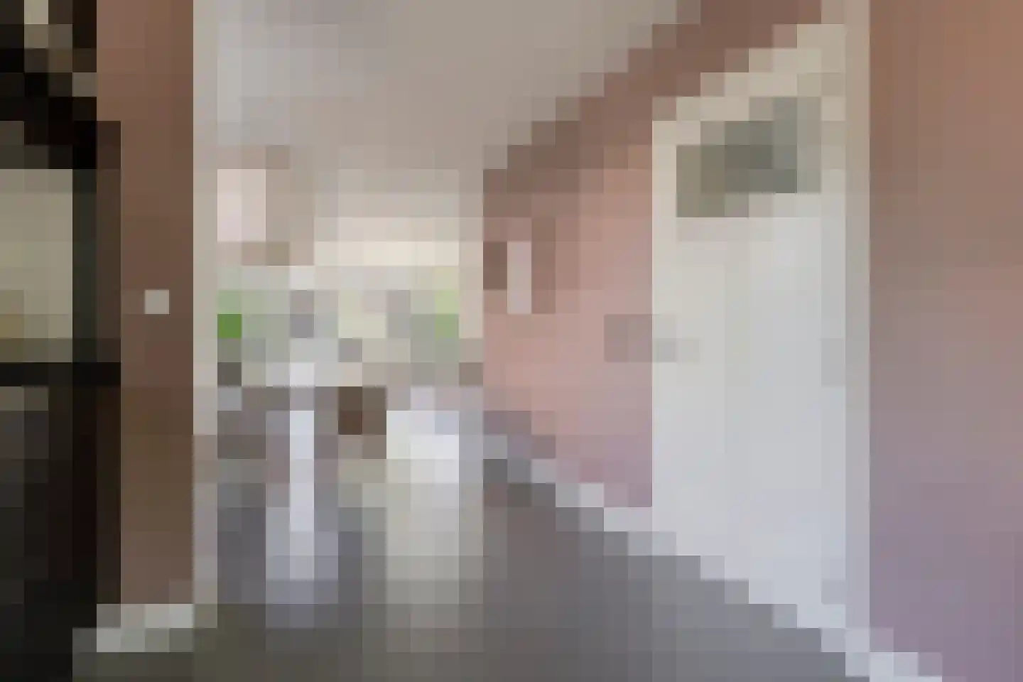 De Spil 38 Kootwijkerbroek thumbnail 18