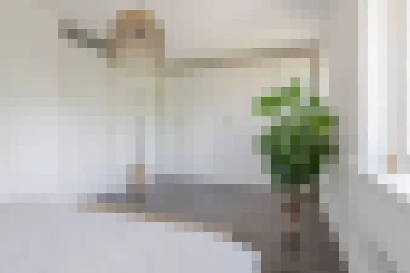 De Spil 38 Kootwijkerbroek thumbnail 23
