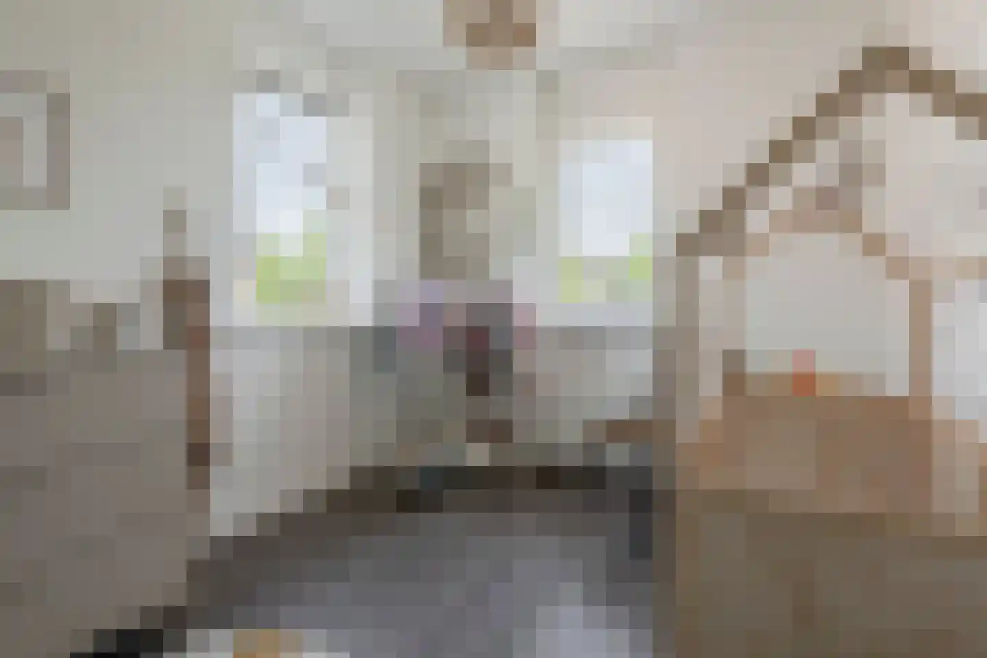 De Spil 38 Kootwijkerbroek thumbnail 31
