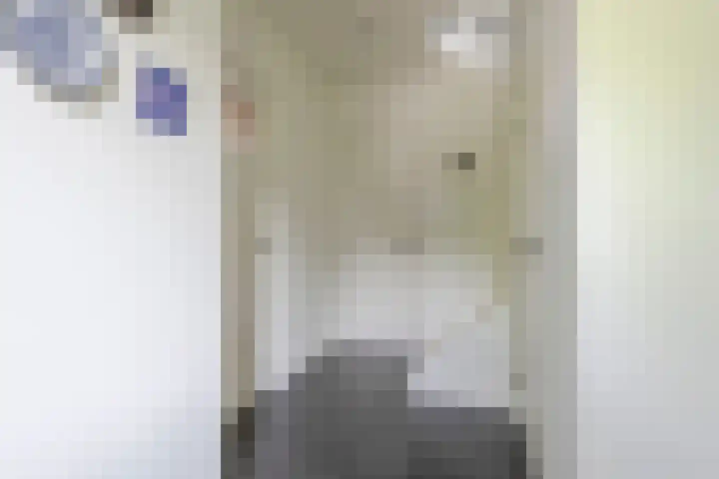 De Spil 38 Kootwijkerbroek thumbnail 4