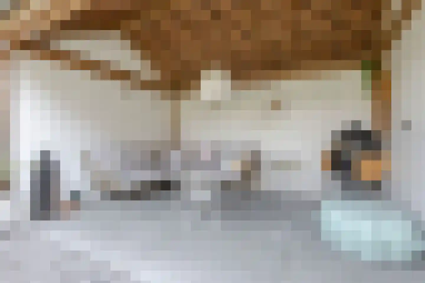 De Spil 38 Kootwijkerbroek thumbnail 42