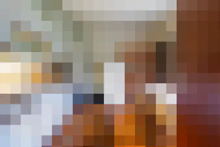 De Spil 7 Buitenpost thumbnail 17