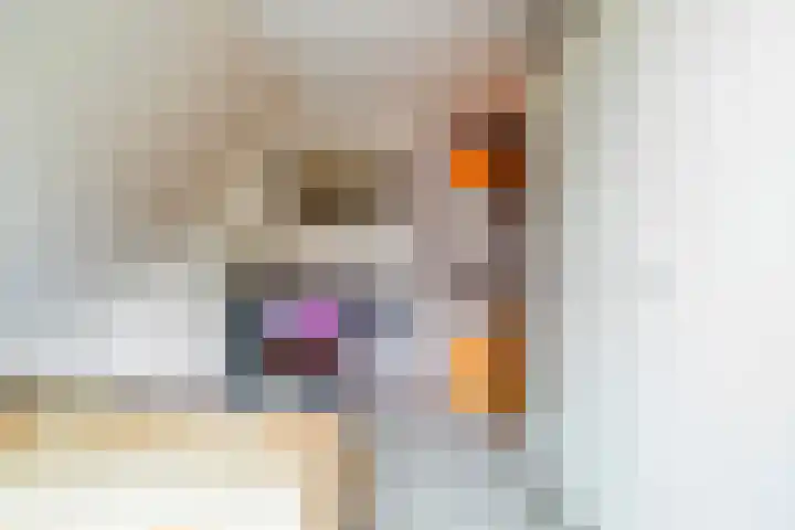 De Spil 7 Buitenpost thumbnail 23