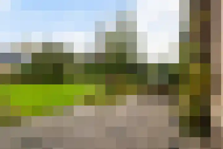 De Spil 7 Buitenpost thumbnail 33