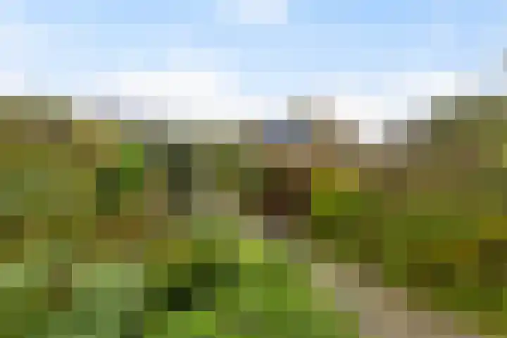 De Spil 7 Buitenpost thumbnail 34