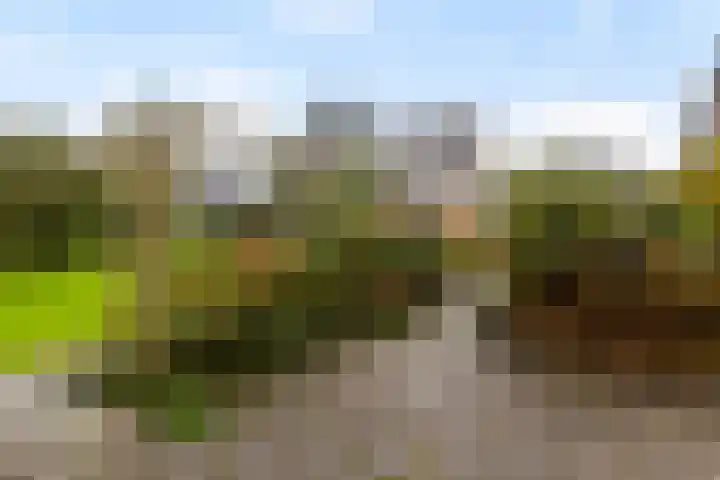 De Spil 7 Buitenpost thumbnail 35
