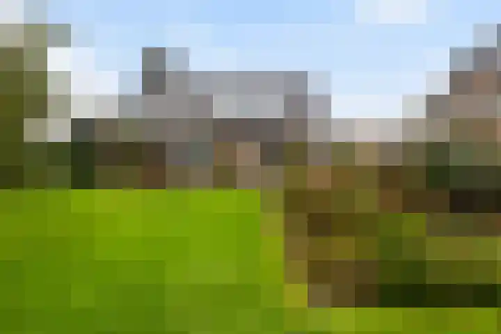 De Spil 7 Buitenpost thumbnail 36