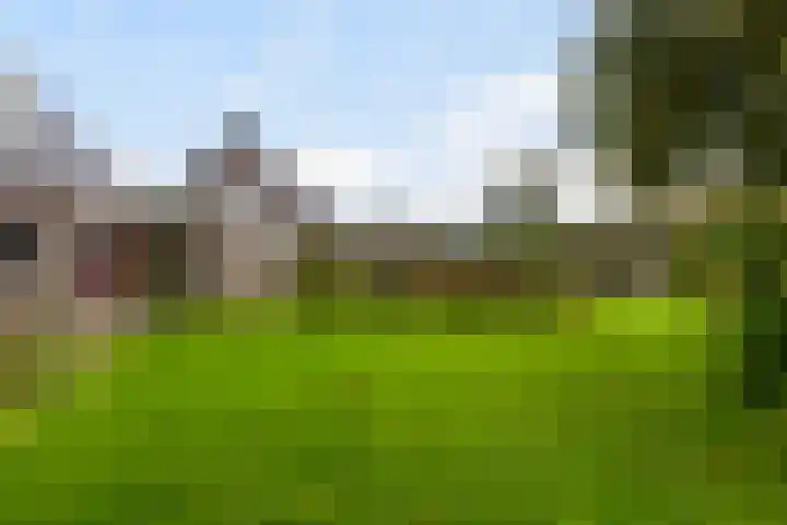 De Spil 7 Buitenpost thumbnail 37