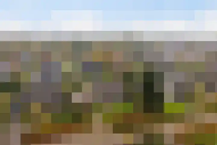 De Spil 7 Buitenpost thumbnail 4