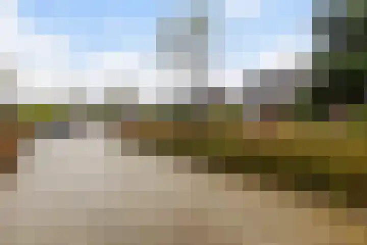 De Spil 7 Buitenpost thumbnail 42