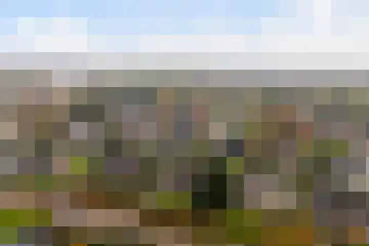 De Spil 7 Buitenpost thumbnail 44