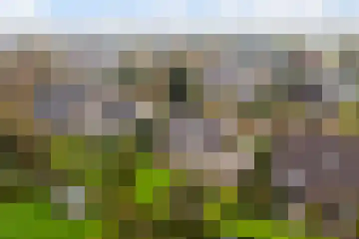 De Spil 7 Buitenpost thumbnail 46