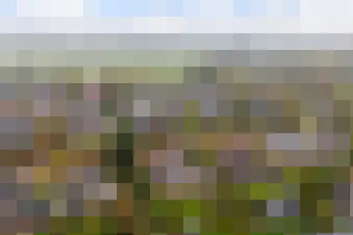 De Spil 7 Buitenpost thumbnail 47