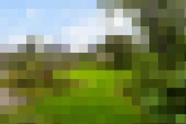 De Spil 7 Buitenpost thumbnail 5