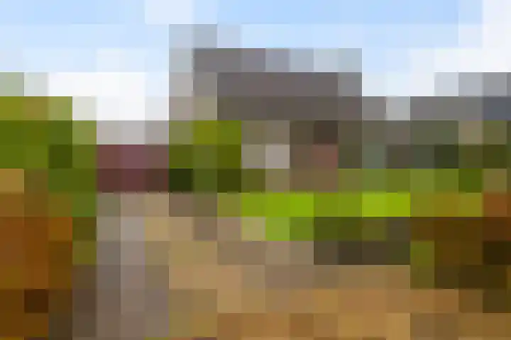 De Spil 7 Buitenpost thumbnail 6