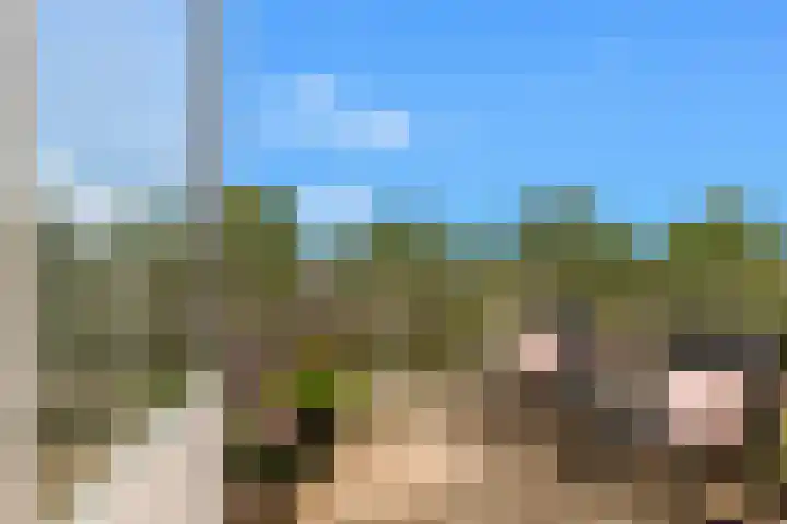 De Spin 120 Uitgeest thumbnail 12