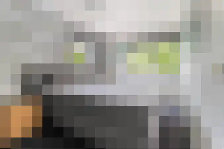 De Spin 120 Uitgeest thumbnail 15