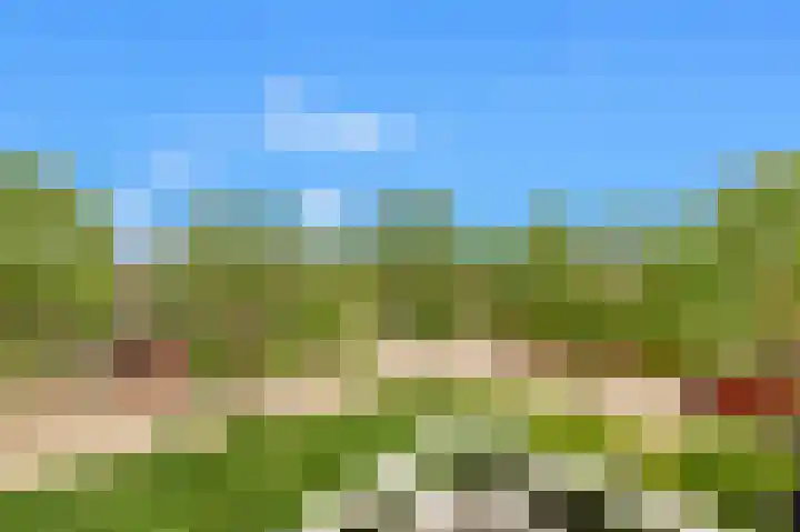 De Spin 120 Uitgeest thumbnail 23