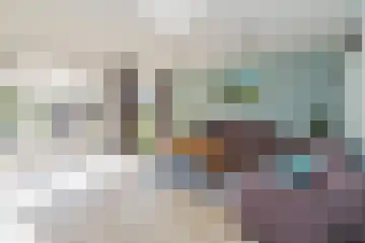 De Spin 23 Uitgeest thumbnail 11
