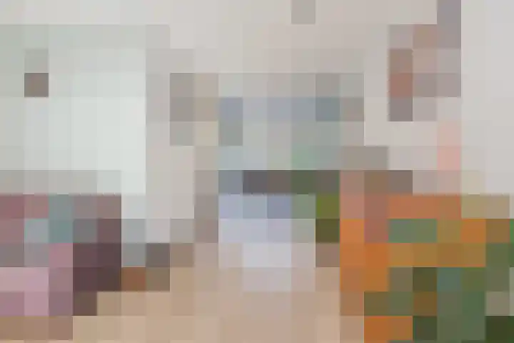 De Spin 23 Uitgeest thumbnail 16