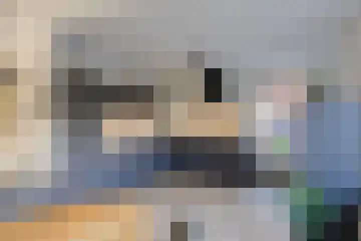 De Spin 23 Uitgeest thumbnail 20