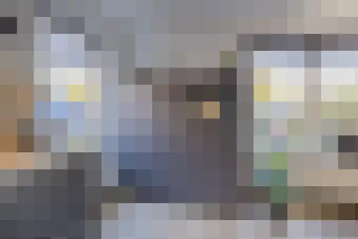 De Spin 23 Uitgeest thumbnail 22