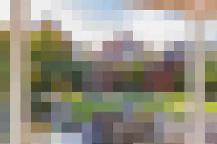 De Spin 23 Uitgeest thumbnail 29