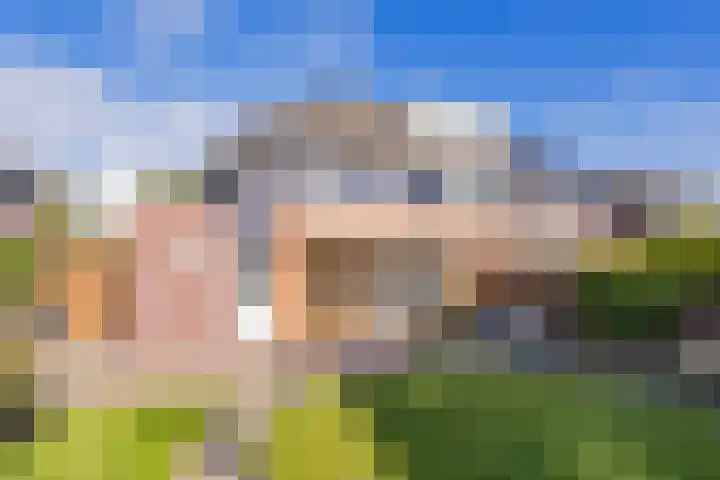 De Spin 23 Uitgeest thumbnail 35