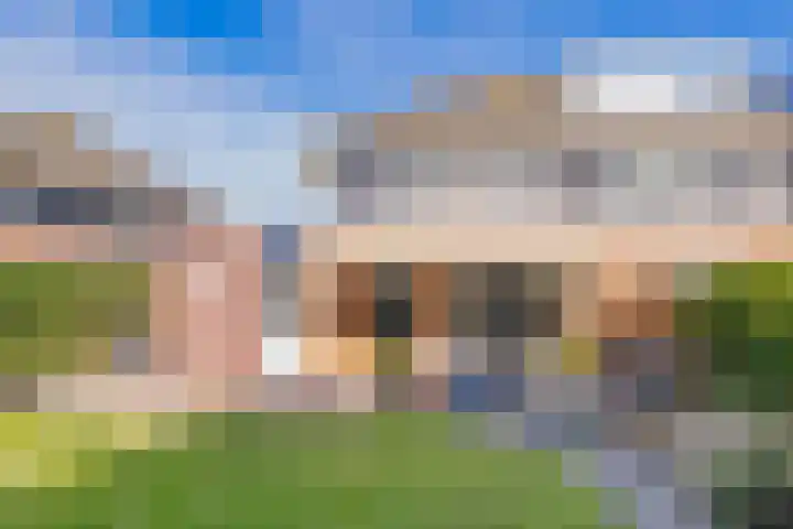 De Spin 23 Uitgeest thumbnail 36