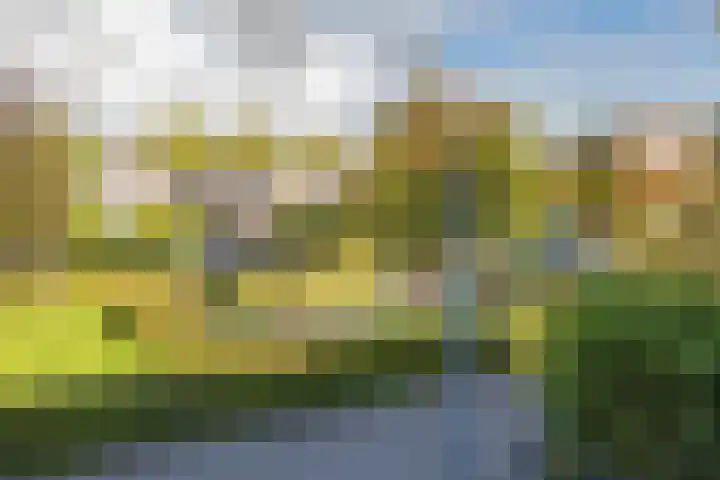 De Spin 23 Uitgeest thumbnail 4