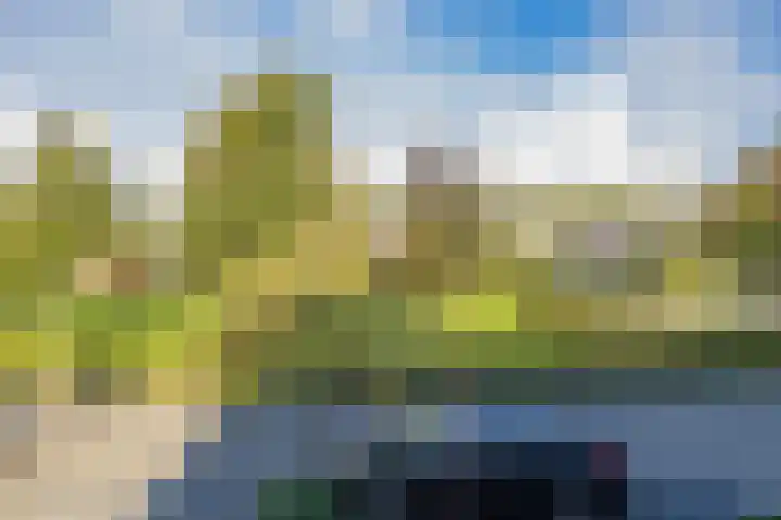 De Spin 23 Uitgeest thumbnail 48