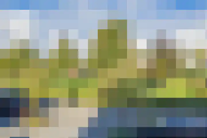 De Spin 23 Uitgeest thumbnail 49