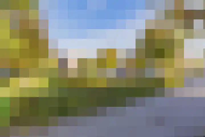 De Spin 23 Uitgeest thumbnail 5