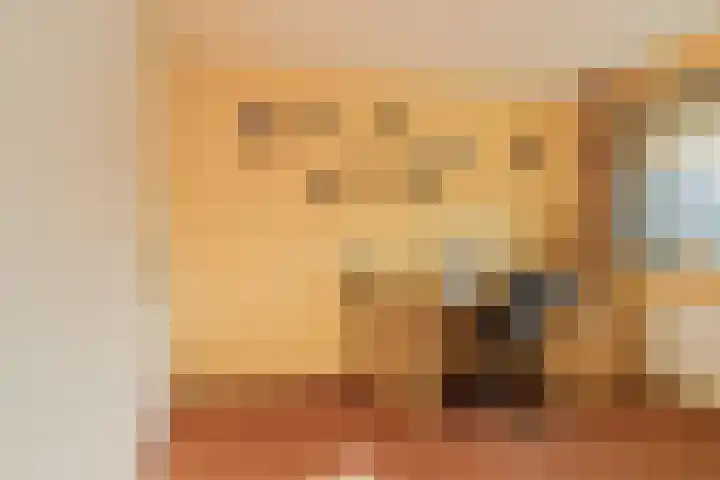 De Spin 23 Uitgeest thumbnail 50