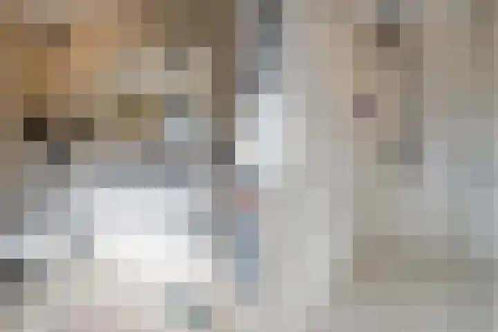 De Spin 23 Uitgeest thumbnail 53