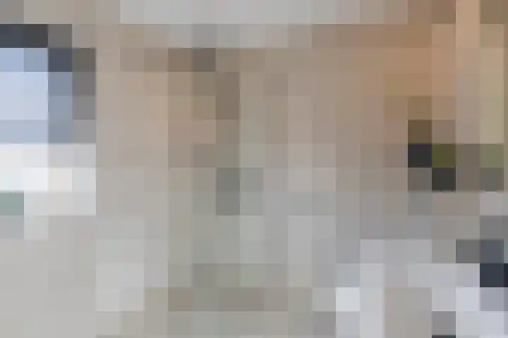 De Spin 23 Uitgeest thumbnail 54