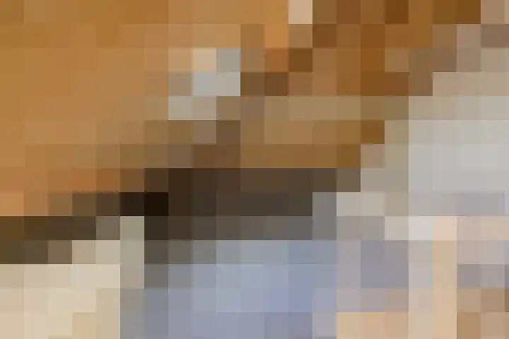 De Spin 23 Uitgeest thumbnail 56