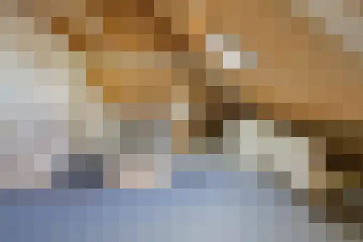 De Spin 23 Uitgeest thumbnail 57