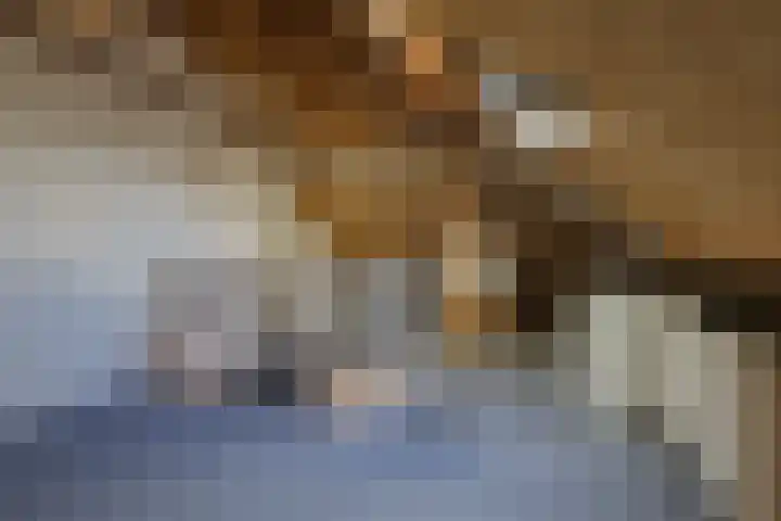 De Spin 23 Uitgeest thumbnail 58