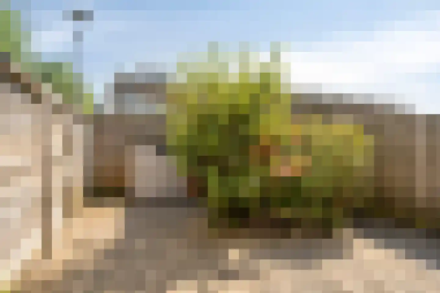 De Spin 32 Uitgeest thumbnail 18